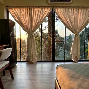 Farm stay Bao Sheng Durian Farm, Balik Pulau